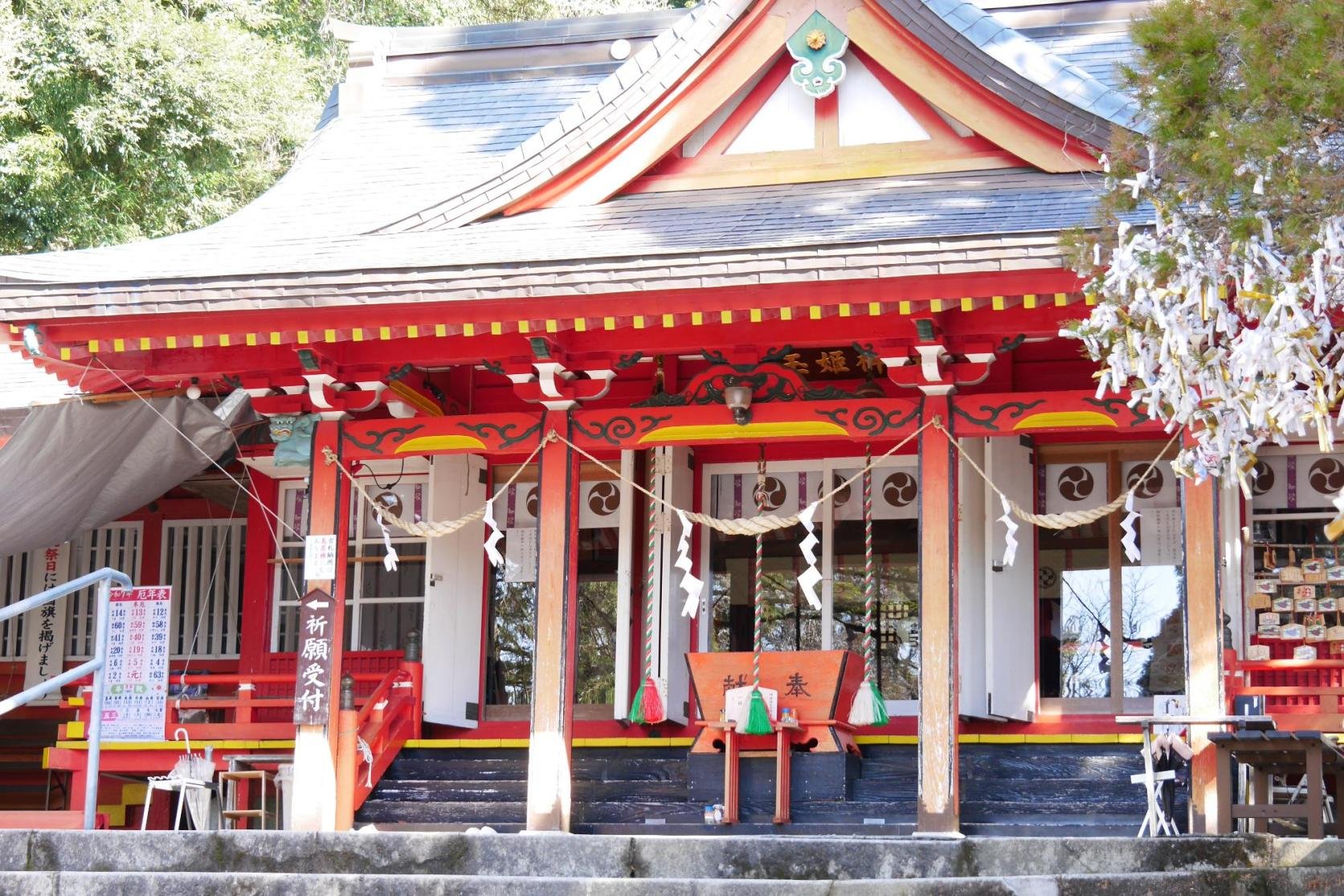 ⛩️ 토요타마히메 신사 (메기 신사) 이미지 10